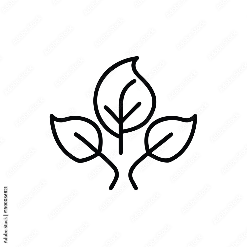vector illustration of a green leaf vector illustration of a green leaf