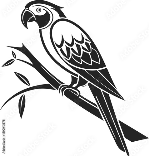 black and yellow macaw