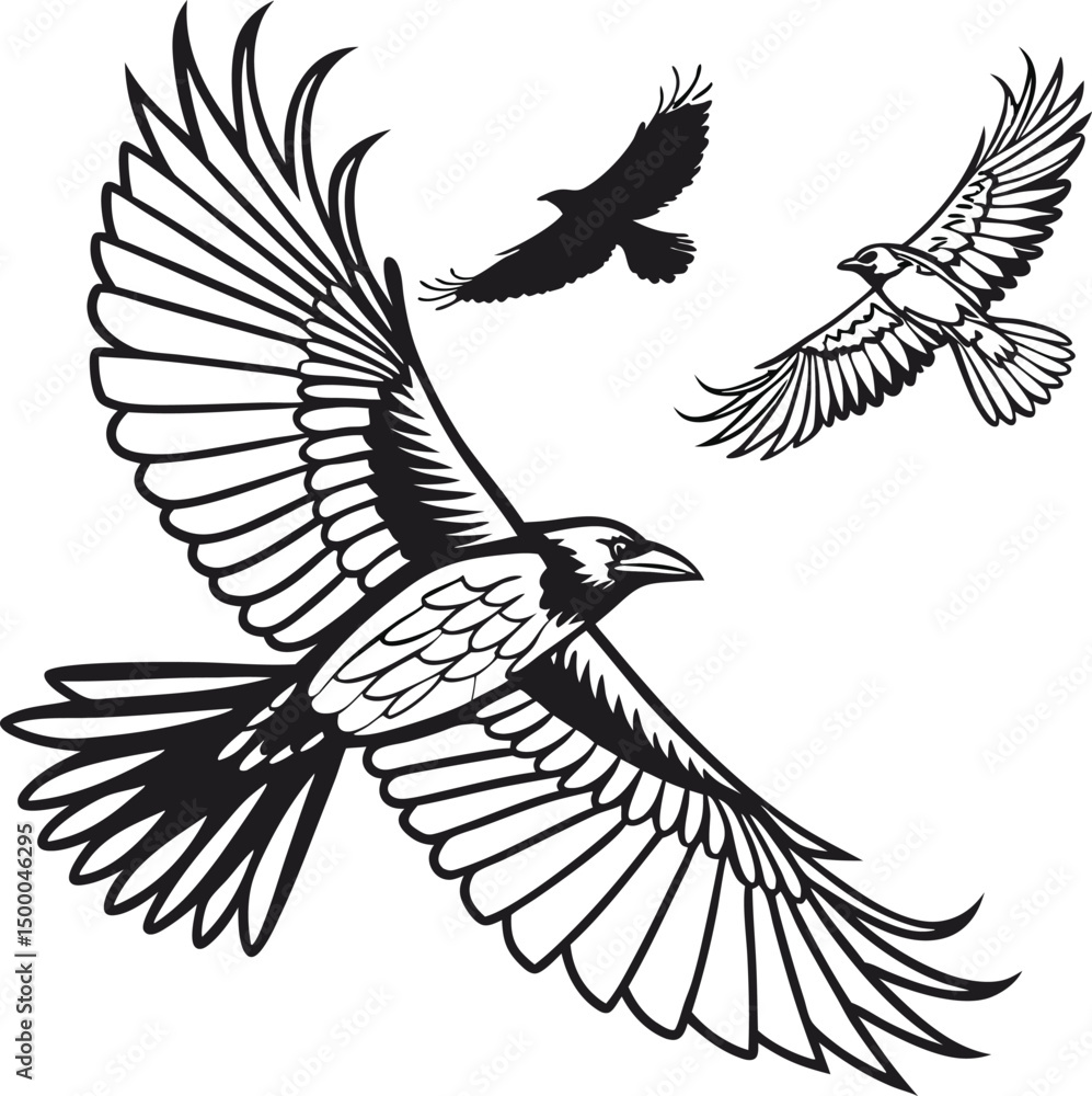 Obraz premium eagle vector illustration