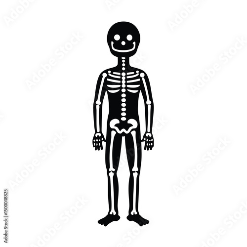 3d human skeleton