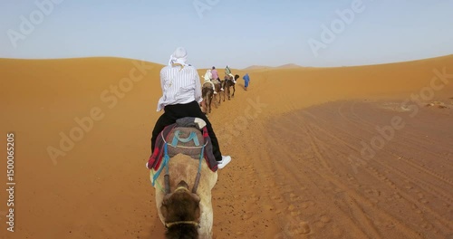 Marrakesh, Morocco - Apr 05, 2025: Camel caravan traversing vast sand dunes in the Sahara Desert