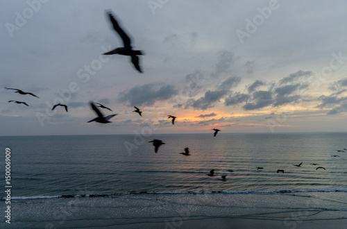 Canvas Print Peaceful morning scene with birds flying gracefully over the ocean during a calm sunrise
