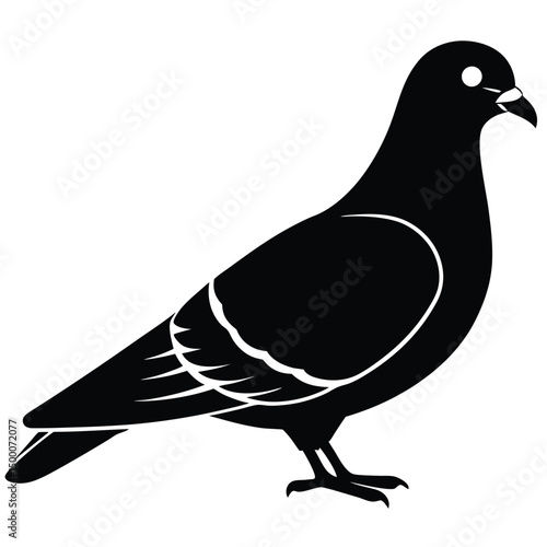 pigeon vector silhouette