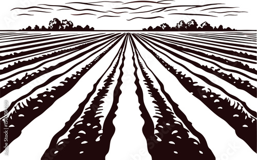 Expansive farmland with plowed rows under cloudy sky at sunset