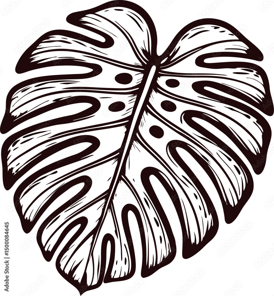 Obraz premium Intricate black and white drawing of monstera leaf with detailed patterns in natural design