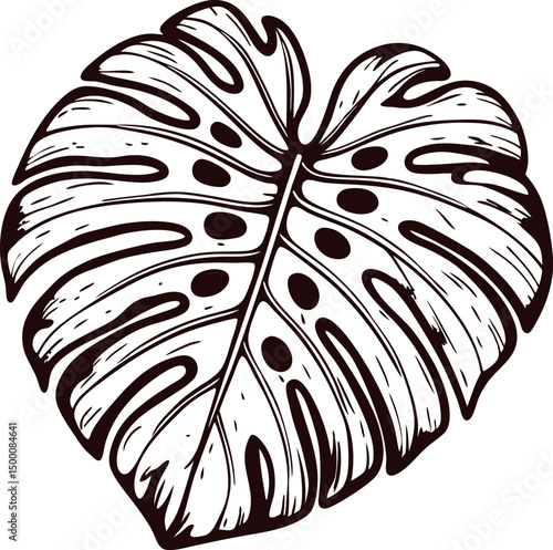 Detailed monstera leaf with prominent fenestrations in black and white sketch