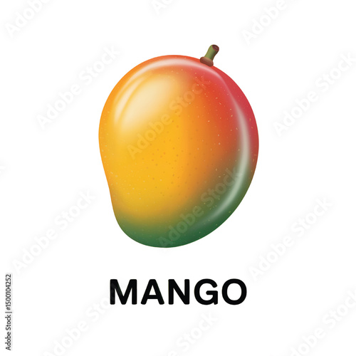 Realistic Mango Vector Illustration – Tropical Fruit Isolated on White Background.