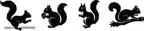 Simple set of Squirrel silhouette vector art, jumping, squirrel with acorn, squirrel on a tree branch