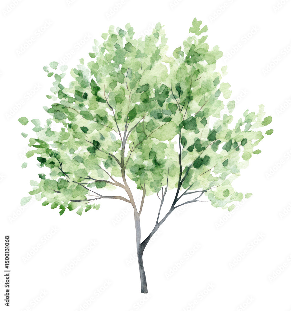 Fototapeta premium PNG Green tree illustration watercolor art.