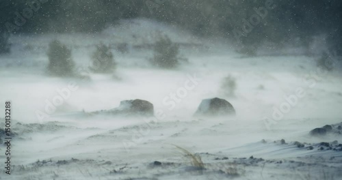 Snow drifting in a cold winter storm across an open snowy landscape