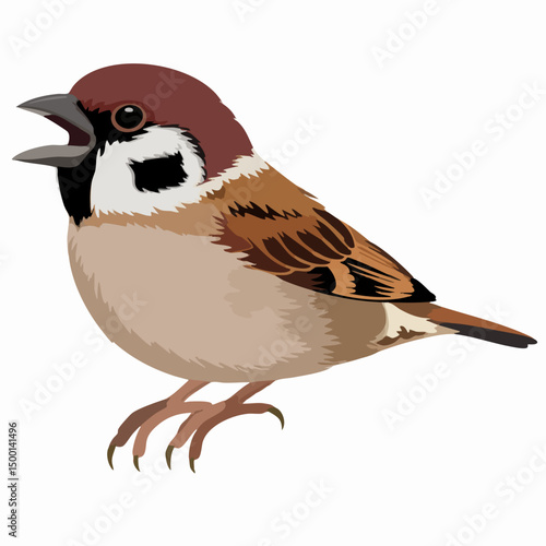 Vector illustration of a Eurasian tree sparrow. Vector image