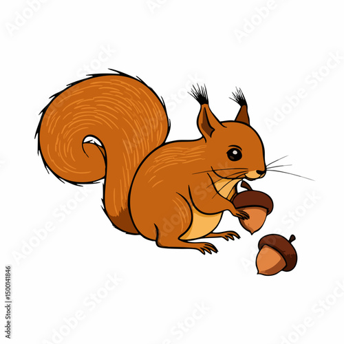 Squirrel with Acorns. Vector image