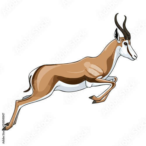 Springbok Antelope in Leap. Vector image