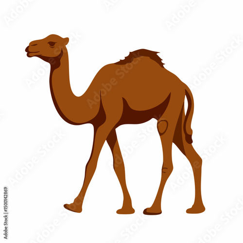Dromedary Camel WalkingVector image