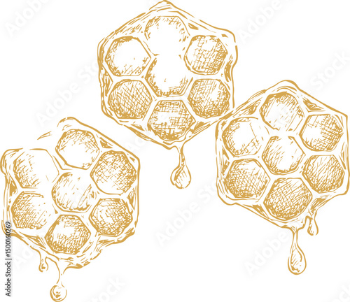 Three dripping honeycombs sketch in golden ink. Vector illustration