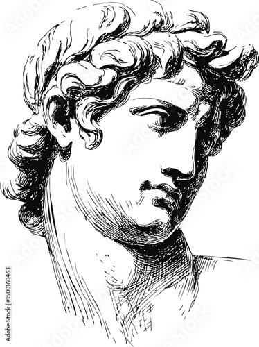 Classical black and white sketch of a marble statue head with curly hair. Vector illustration