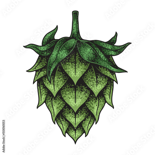 Hops in a brewery garden