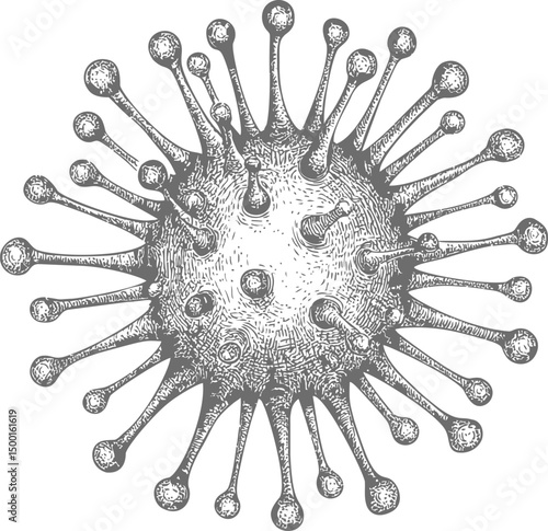 Detailed black and white illustration of a virus with protruding spikes. Vector illustration