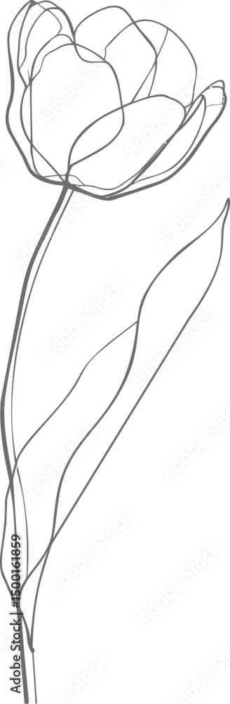 Simple line art illustration of a tulip flower. Vector illustration Simple line art illustration of a tulip flower. Vector illustration