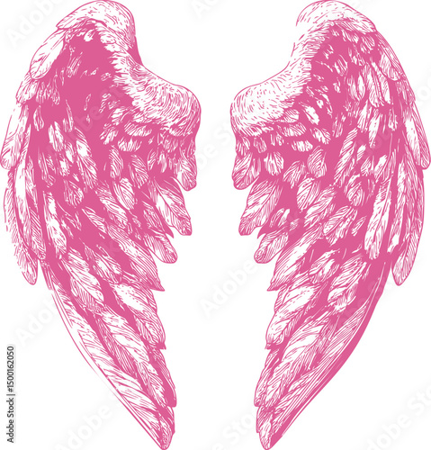 Pink angel wings detailed illustration with, fantasy art. Vector illustration