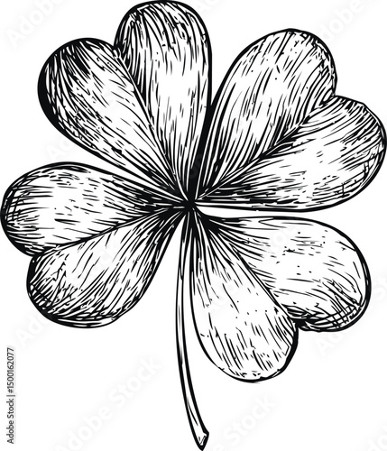 Detailed black and white sketch of clover leaf with intricate texture. Vector illustration