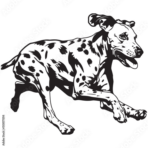 Dalmatian Dog silhouette Vector illustration. dalmatian line art silhouette vector