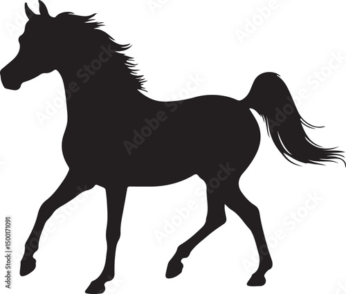 Arabian Horse vector silhouette on white background