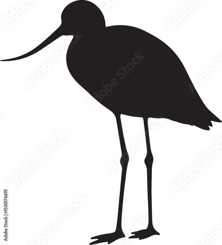 Avocet vector silhouette on white background