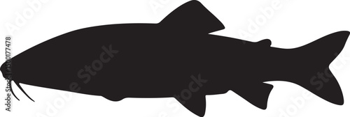 Barbel vector silhouette on white background