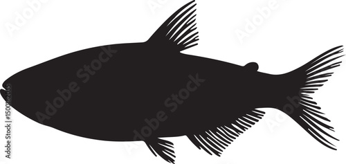Black Neon Tetra vector silhouette on white background