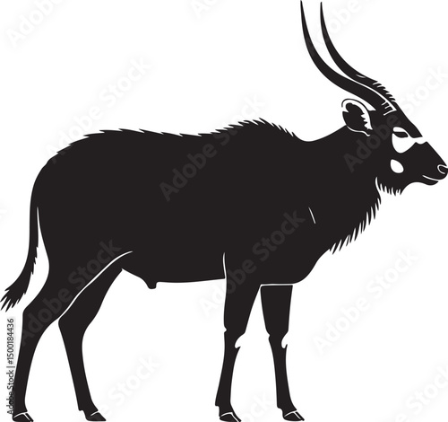 Bongo vector silhouette on white background