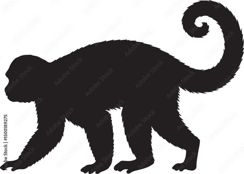 Obraz premium Capuchin Monkey side view vector silhouette on white background