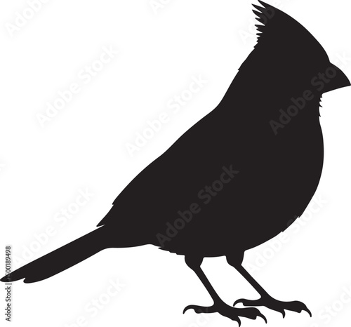 Cardinal side view vector silhouette on white background