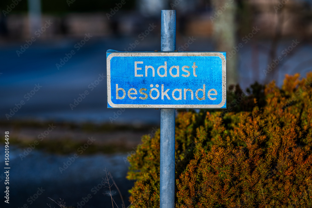 Fototapeta premium Old weathered visitor parking sign.