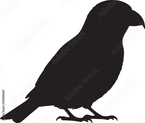 Crossbill Solid Vector Silhouette