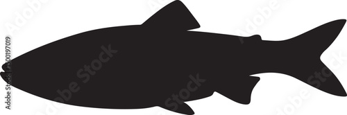 Photos Dace Solid Vector Silhouette