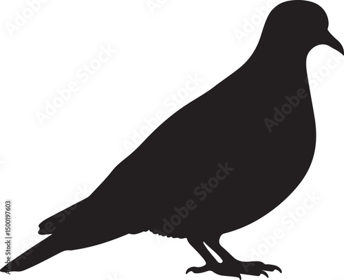 Diamond Dove vector silhouette on white background