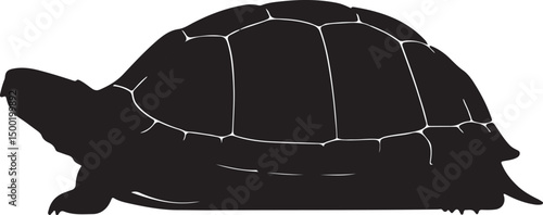 Eastern Box Turtle vector silhouette on white background