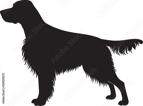 English Setter dog vector silhouette on white background