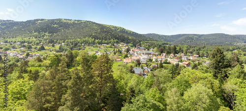 Château de Wangenbourg