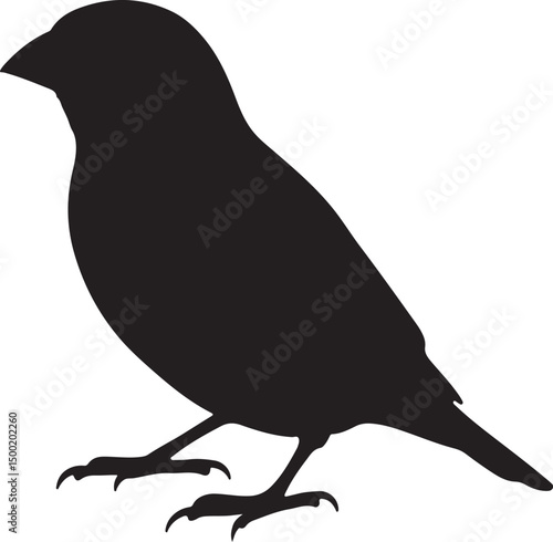 Finch side view vector silhouette on white background