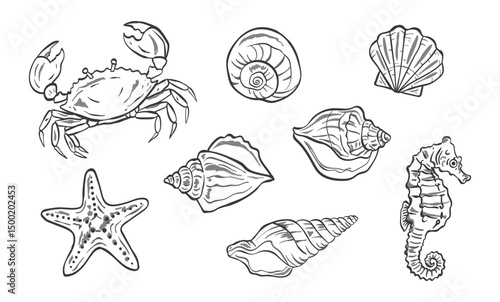 Seashells crab seahorse starfish monochrome sketch set, black and white line art style, for nautical illustrations or vintage marine decor, isolated on white background, vector illustration
