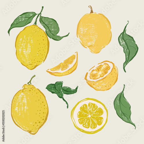Vector fruit doodle illustration of juicy lemons and green leaves. Hand-drawn garden harvest sketch. Organic farm graphics. Tasty food for design, veggie market drawing print, fabric or background.