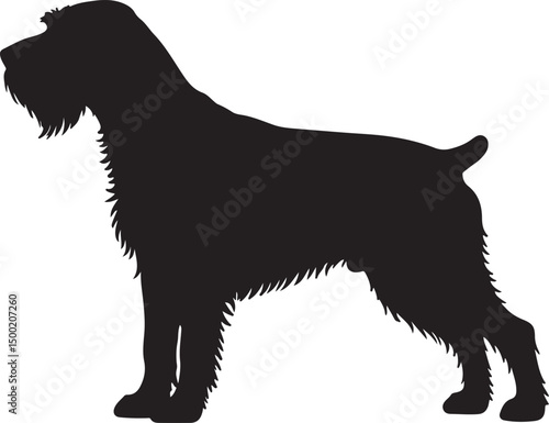 German Wirehaired Pointer dog vector silhouette on white background