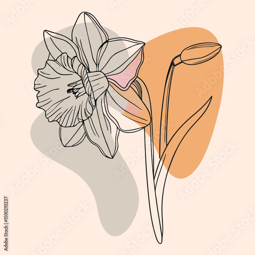 Delicate narcissus drawn with single elegant line on pastel background. Minimalistic beauty, fine contours, airy lightness.