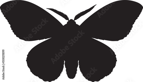 Gypsy Moth Top View Vector Silhouette on White Background