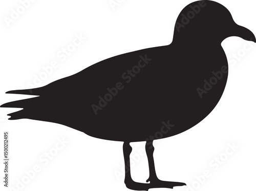 Harlequin Gull Vector Silhouette on White Background