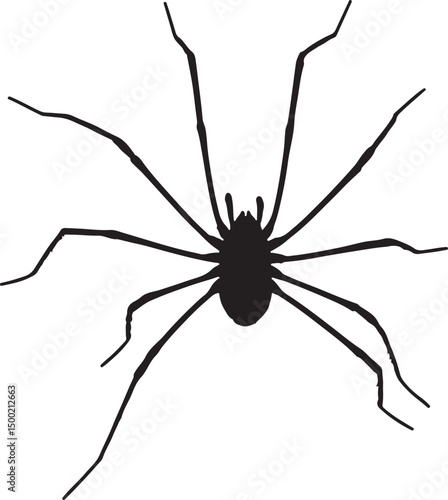 Harvestman Top View Vector Silhouette on White Background