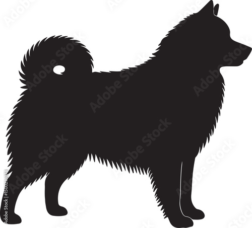 Icelandic Sheepdog Vector Silhouette on White Background