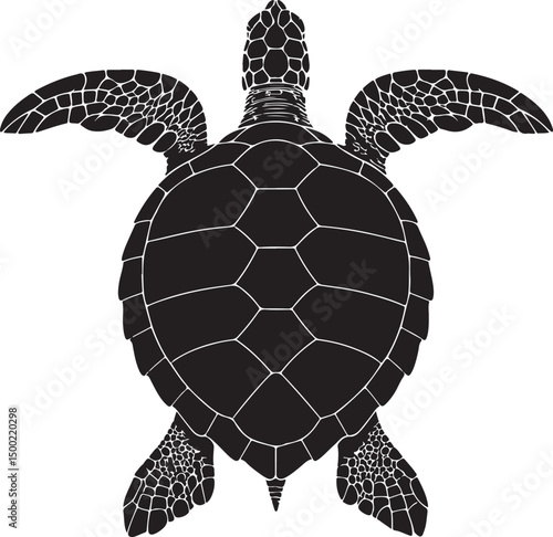 Kemp's Ridley Sea Turtle Top View Silhouette Vector